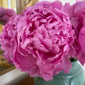 Meet your Posher, Margaret